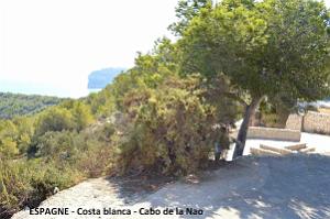 064- Cabo de la Nao